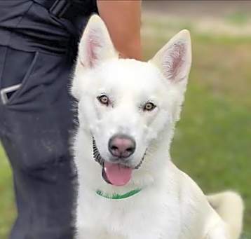 Photo of NOBLE