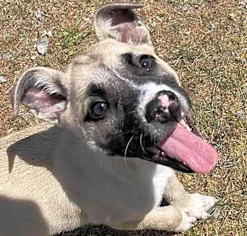Photo of GABRIELLE/URGENT