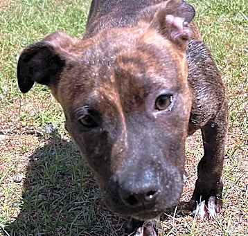 Photo of XENA/URGENT