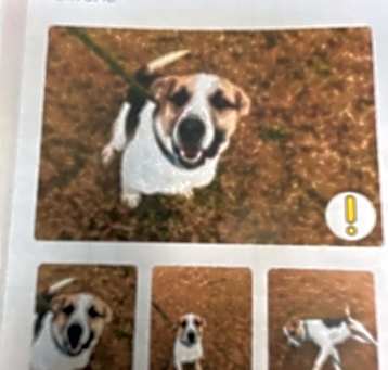 Photo of Three