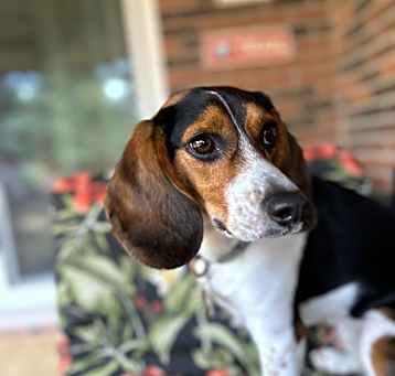 Photo of Hazel