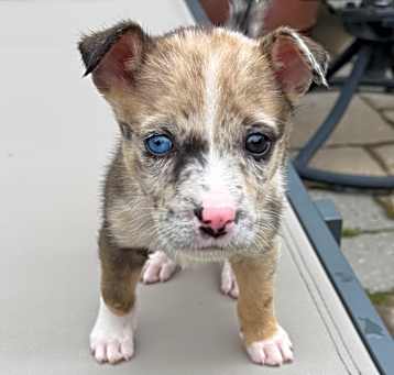 Photo of Benny