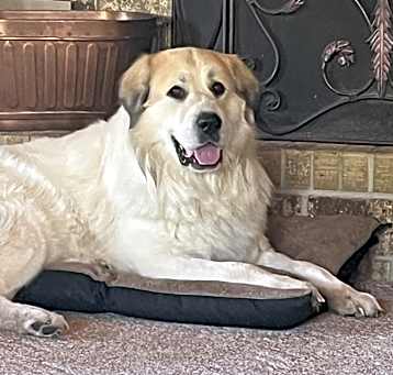 Photo of Finn