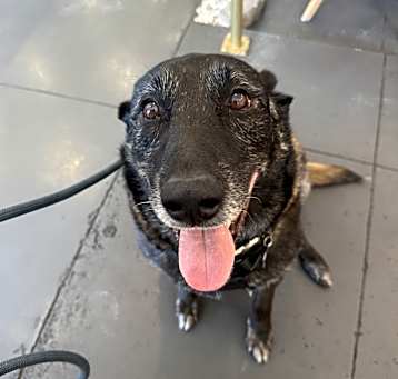 Photo of Zeus