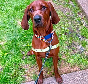 Photo of Trooper