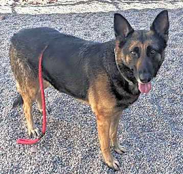 Photo of BERTHA