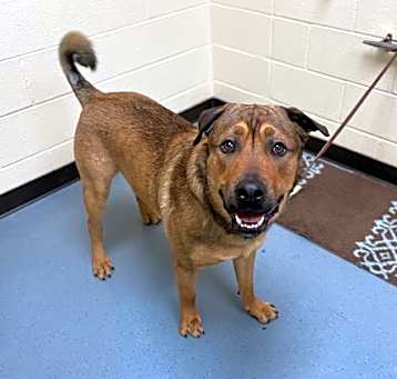 Photo of BEAR