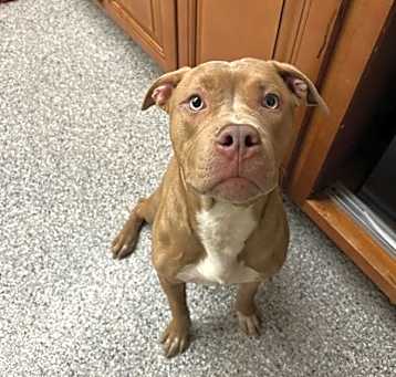 Photo of Chocolatta