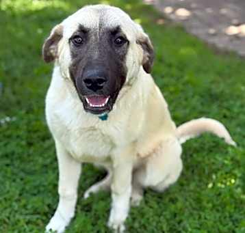 Photo of Kiara