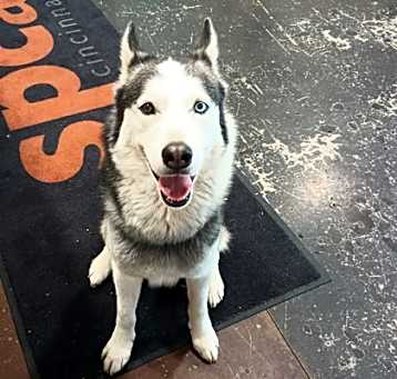 Photo of Bleu