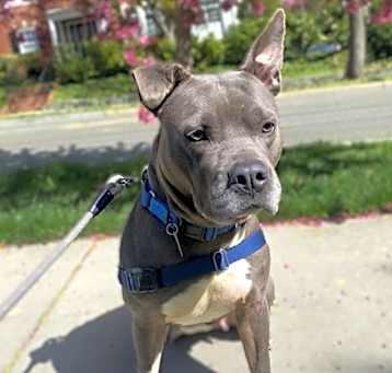 Photo of Nylee