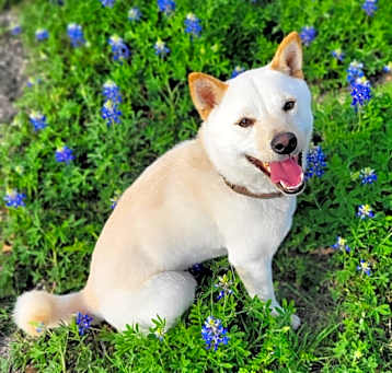 Photo of Zuko