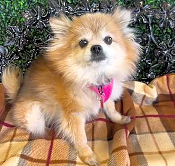 Photo of Shelbi