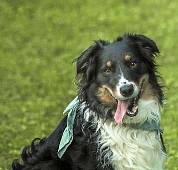 Photo of 0827 Darby