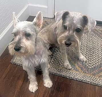 Photo of KOBE & SYDNEY