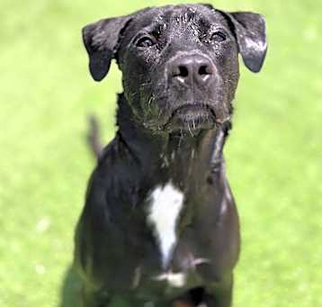 Photo of Poseidon