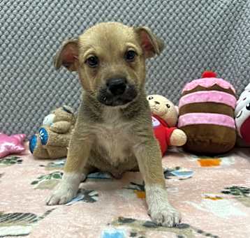 Photo of Hermes