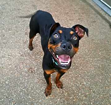 Photo of Jenny