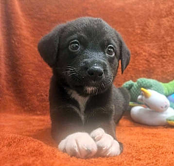 Photo of Hera