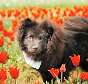 Photo of Ilona