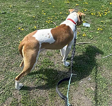 Photo of Athena