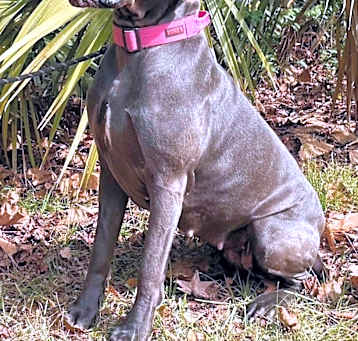 Photo of Hannah