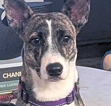 Photo of Nora
