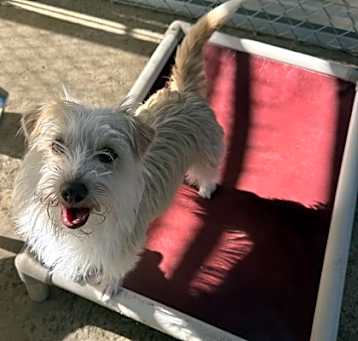 Photo of Meg