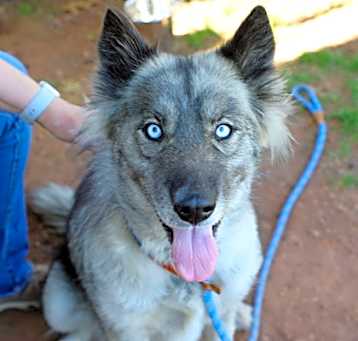 Photo of Luna