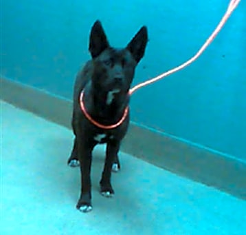 Photo of HONEY