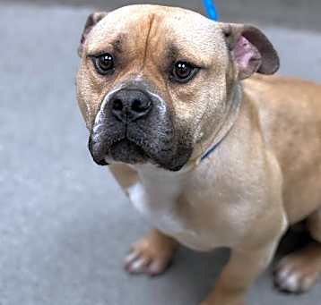 Photo of TANK