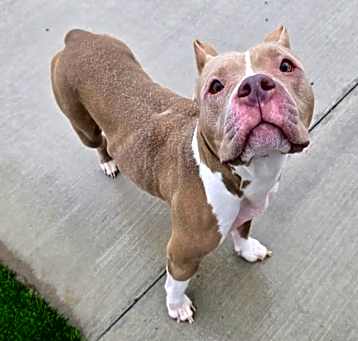 Photo of Bernie