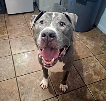 Photo of Rocky