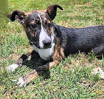 Photo of Maximus FJ