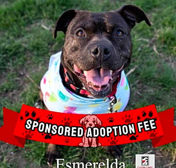 Photo of Esmerelda