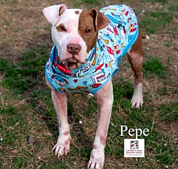 Photo of PePe