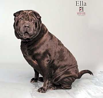 Photo of Ella