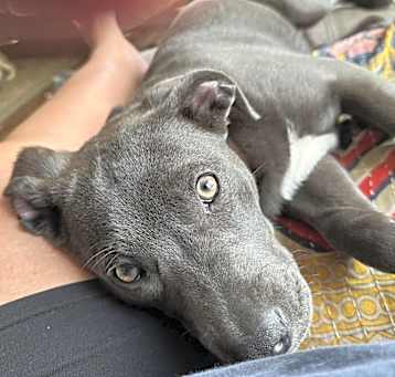 Photo of Cindy