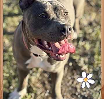 Photo of Lila
