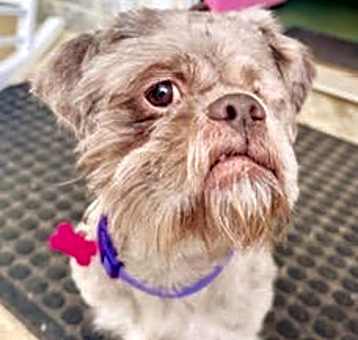 Photo of Popeye