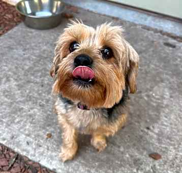 Photo of Betsy
