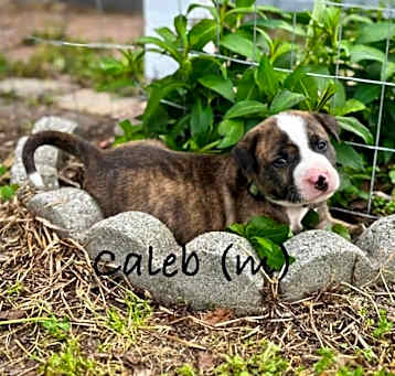 Photo of Caleb