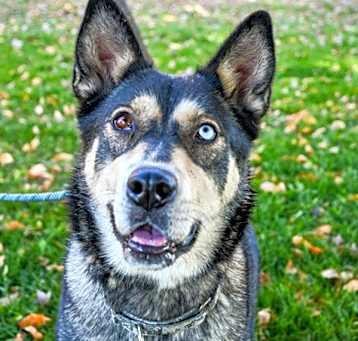 Photo of Jasmine