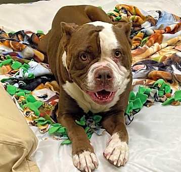 Photo of Coco