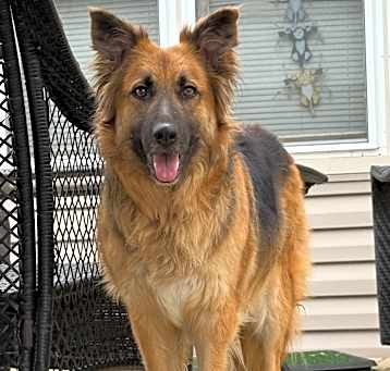 Photo of Holly
