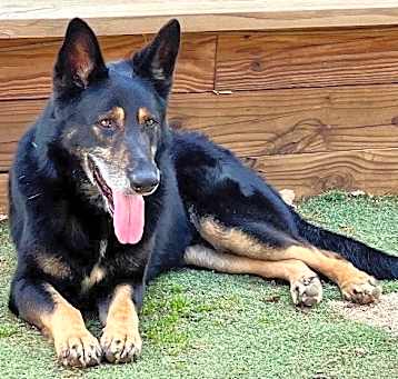 Photo of Clyde