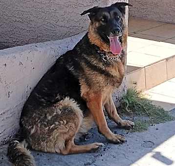Photo of Giselle