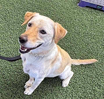 Photo of Sadie Elsie