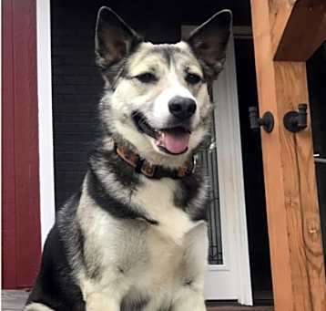 Photo of Knoxie