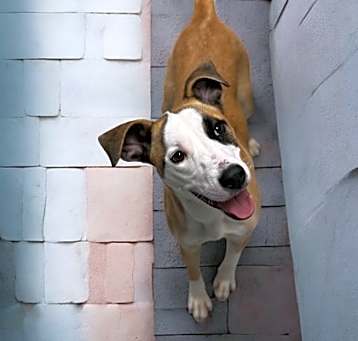 Photo of Harlow